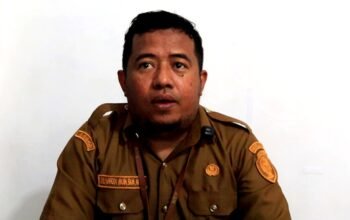 Kabar Baik untuk Ibu Hamil di Kepulauan Aru!  Pemda Siapkan Rumah Tunggu dan Biaya Transportasi Rujukan
