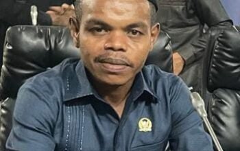 Insentif Nakes Aru Mandek 8 Bulan, DPRD Angkat Bicara