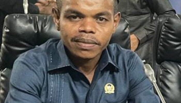 Insentif Nakes Aru Mandek 8 Bulan, DPRD Angkat Bicara