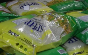 Harga Beras 5 Kg Tembus Rp100 Ribu di Dobo, Sembako di Kepulauan Aru Kian Mahal