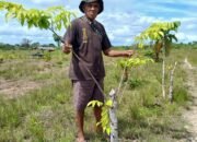 Reboisasi Desa Tungu jadi Contoh Pelestarian Hutan di Aru